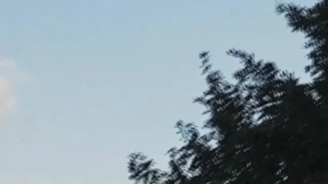 UFO - North London 7:30pm 31st July 2017