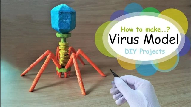 Virus Model - Throw it in the Trash Where it belongs