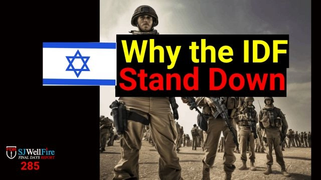 The Evidence the IDF stood Down..  Why>