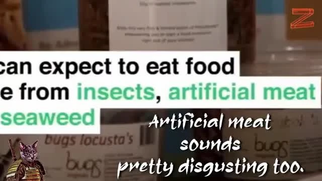 Eat ze bugz. Official WEF clip (enhanced)