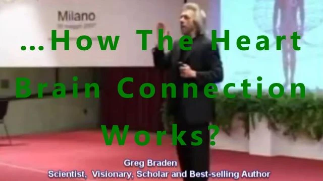…How The Heart Brain Connection Works?
