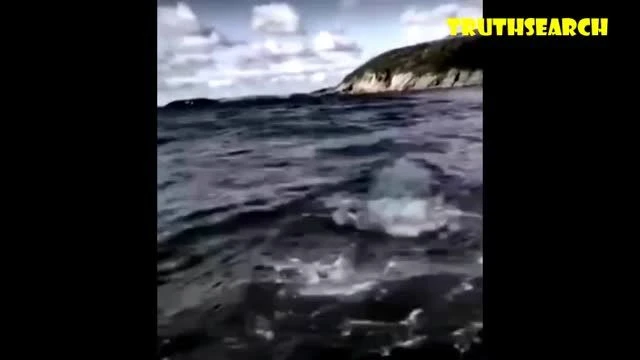 Mermaid... Ive never seen this footage before... mystery!