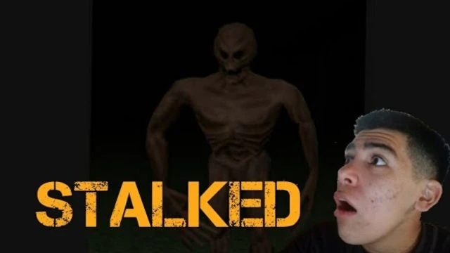 Stalked| i scare of this games