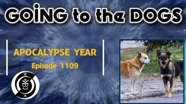 Going to the Dogs: Full Metal Ox Day 1044