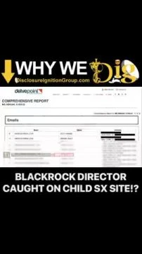 BLACKROCK DIRECTOR CAUGHT ON CHILD SEX SITE !?