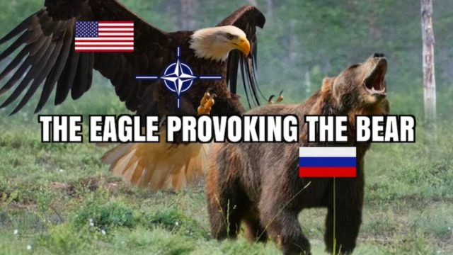 THE EAGLE PROVOKING THE BEAR