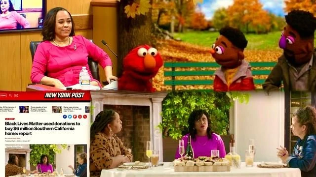 Fani Willis Black Lives Matter Leaders Sesame Street Elmo Exposed As Being Racist Against Blacks