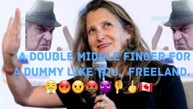 Freeland Stupidly Invites European Grocery Chains.   😤😡👿🖕🇨🇦