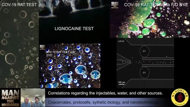 What's in the shots, water, on Rapid antigen tests, and more?