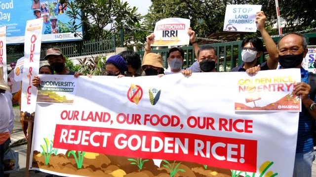 Philippines - Supreme Court Halts GMO Rice