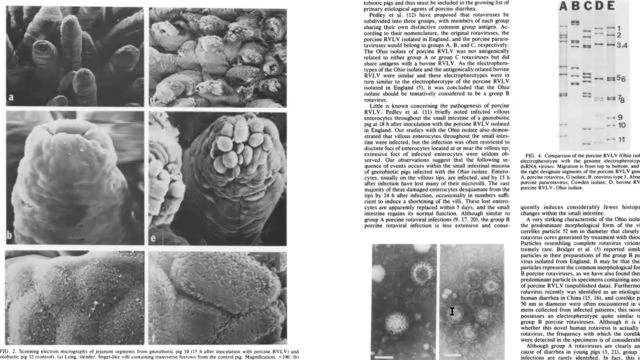 Q&A   Do Viruses Exist  Article Webinar from May 29th, 2024