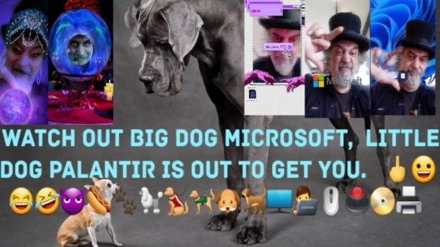 Palantir Might Beat Microsoft In AI Department. 🖕😂😈🐩🐕👨‍💻🖱