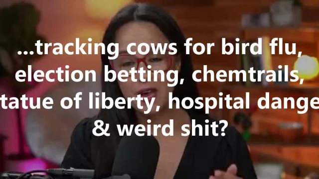 ...tracking cows for bird flu, election betting, chemtrails, statue of liberty, hospital danger & weird shit?