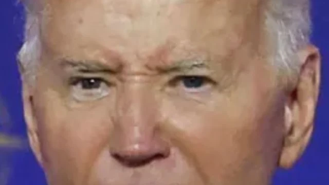 Biden - Ol' Blue & Brown Eyes