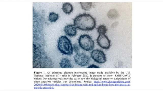 Virus, Bacteriophage & Single “Virus” Genomics - Drs Sam & Mark Bailey