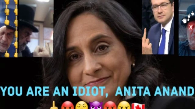 Anita Anand Wants DEI In CAF And Public Service.  🖕🤬😤👿😡😠🇨