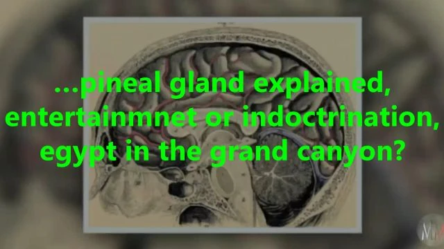 …pineal gland explained entertainment or indoctrination, egypt in the grand canyon?