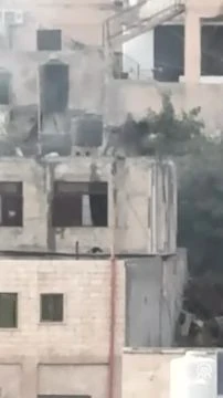 Israeli soldiers throw the bodies of Palestinians they killed from the roofs of houses in Jenin