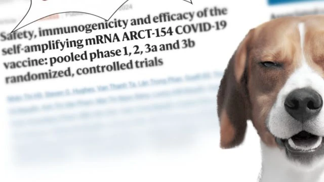 Self-Amplifying mRNA Study Commits Fraud - Daily Beagle