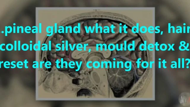 ...pineal gland what it does, hair, colloidal silver, mould detox & reset are they coming for it all?