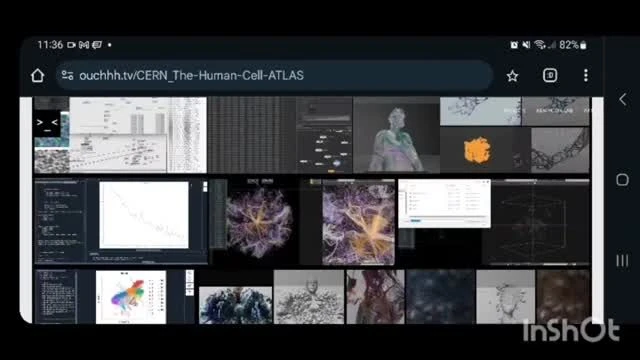 CERN The Human Cell ATLAS