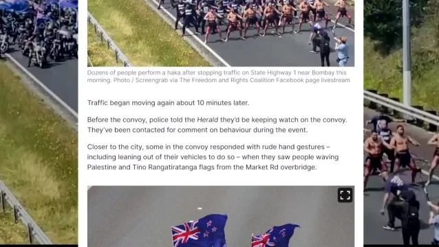 Real Men Don't Like Palestinian Flag - Block Highway, Perform Haka