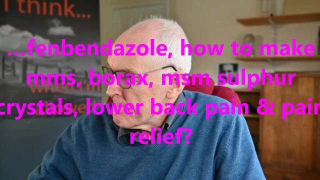 ...fenbendazole, how to make mms, borax, msm sulphur crystals, lower back pain & pain relief?