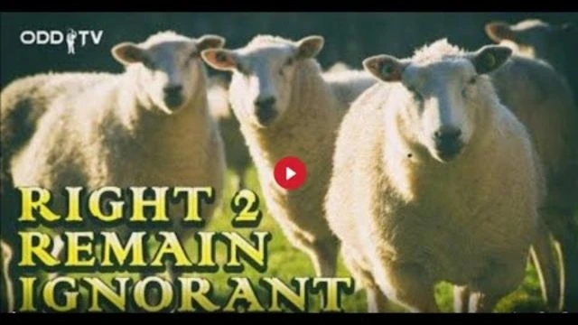 ODD TV | RIGHT 2 REMAIN IGNORANT (FEAT STEVE GRANT)