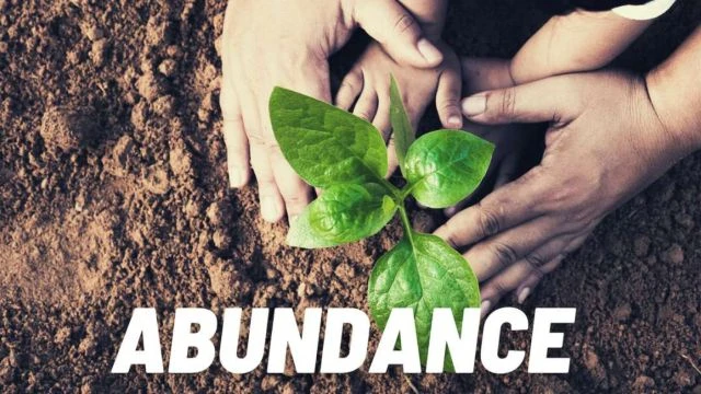 They Lie We See – Abundance (2021 Refix)