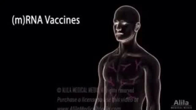 Dr Hoffa explains the damage done by mRNA vaccines - spanish subs