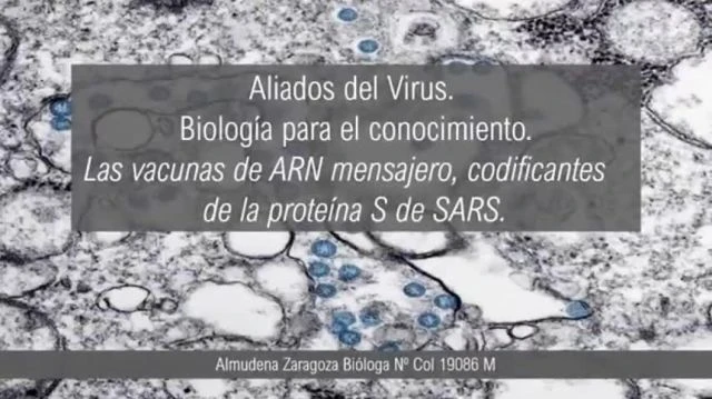 Spanish biologist - mRNA Vaccines will cause sterilization - Spanish audio